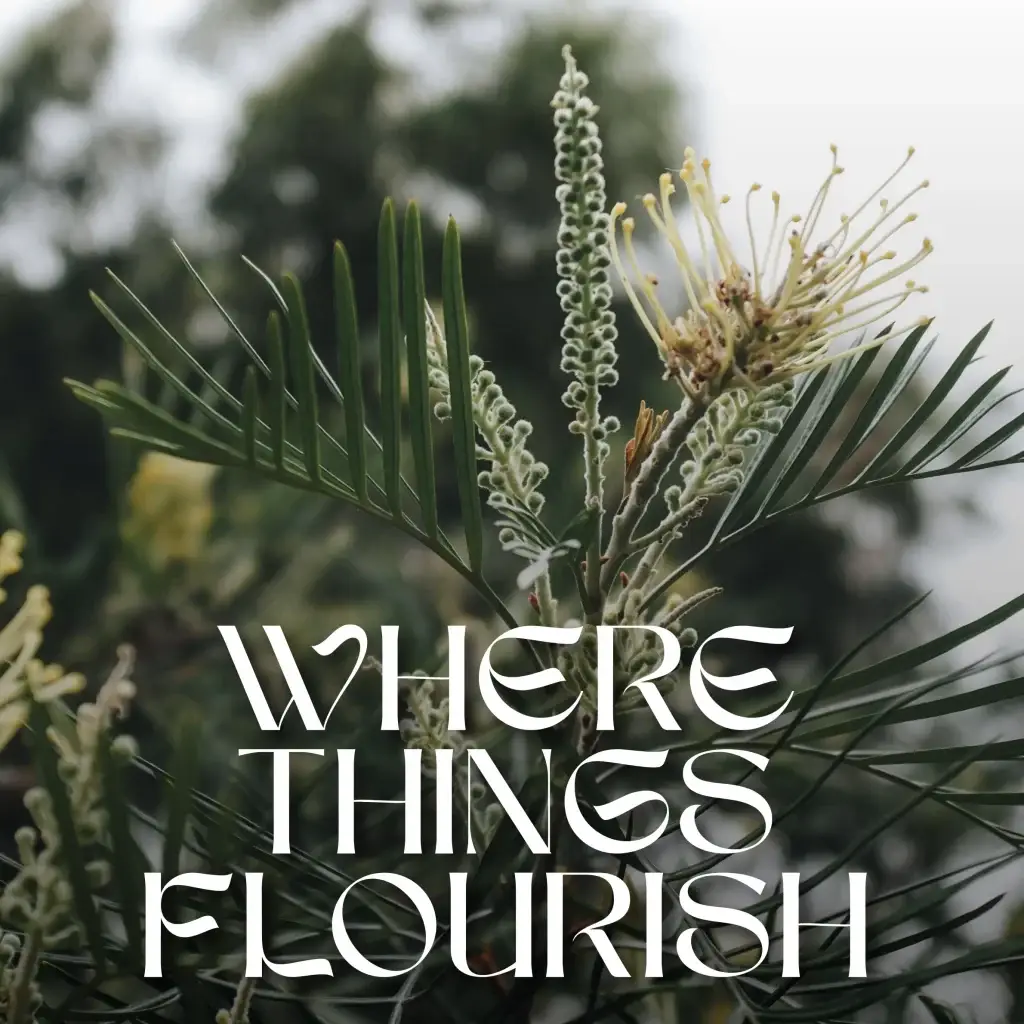 There Things Flourish - Benjamin Tubb-Hearne (1)