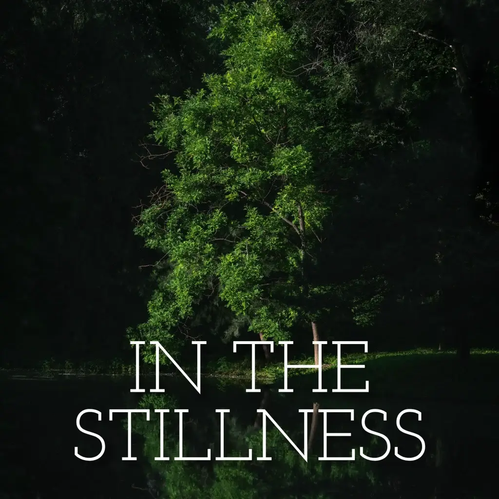 In the Stillness - Benjamin Tubb-Hearne